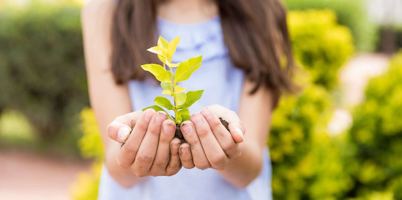 A person holding a small green plant with soil, symbolizing growth and environmental care.